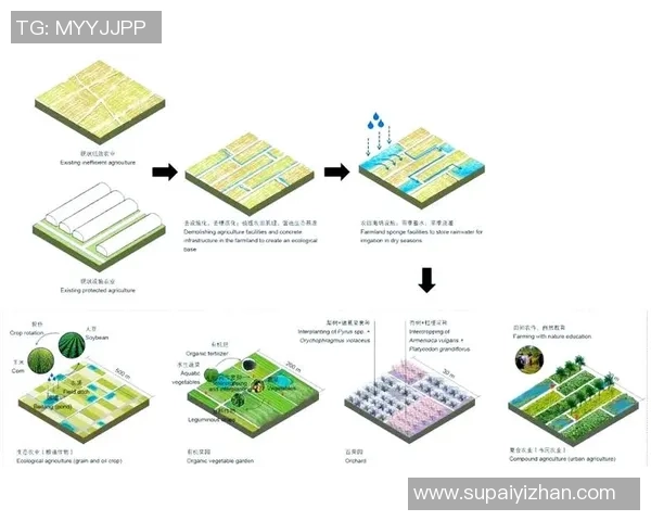 生物多样性保护与场馆建设的生态影响及其修复策略探讨